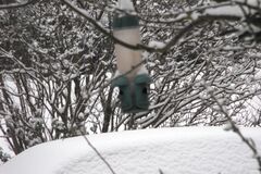 DSCF0179.jpg