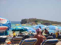 DSC00270.jpg