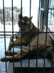DSCN0170.JPG