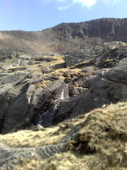 11042009325.jpg