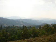 DSC00556.jpg
