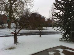 02022009005.jpg