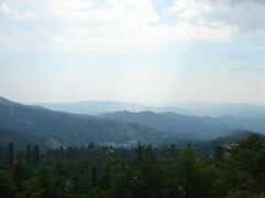 DSC00552.jpg