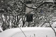 DSCF0177.jpg