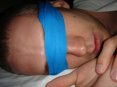 DSC00387.jpg
